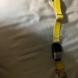 Fi GPS collar. Used